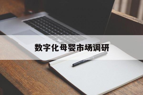 潮州市数字化母婴市场调研(数字化母婴市场调研报告)